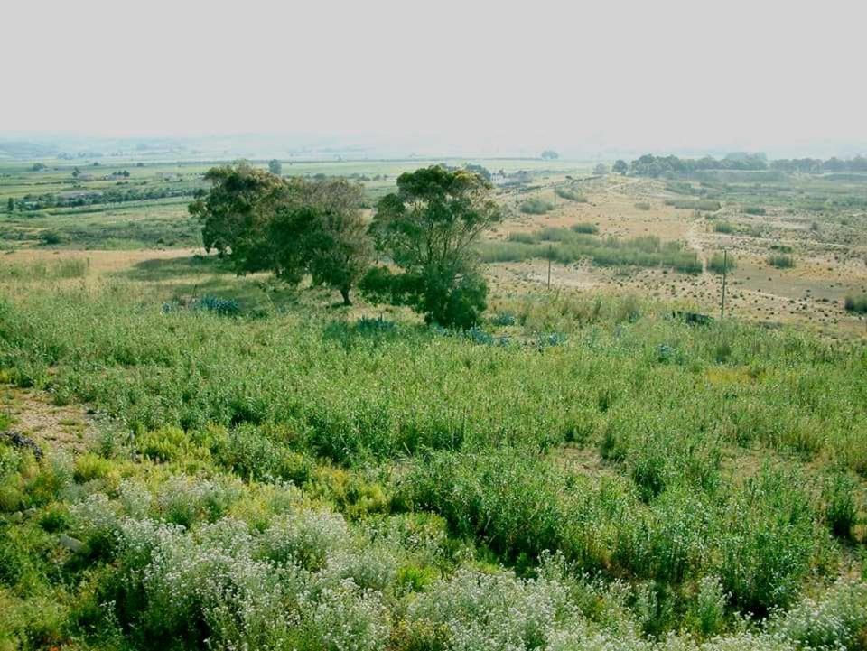 Il Canneto Di Selinunte Marinella di Selinunte Ngoại thất bức ảnh